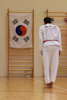 Classic Tae Kwon Do