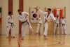 Classic Tae Kwon Do