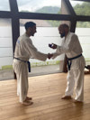 Classic Tae Kwon Do