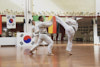 Classic Tae Kwon Do